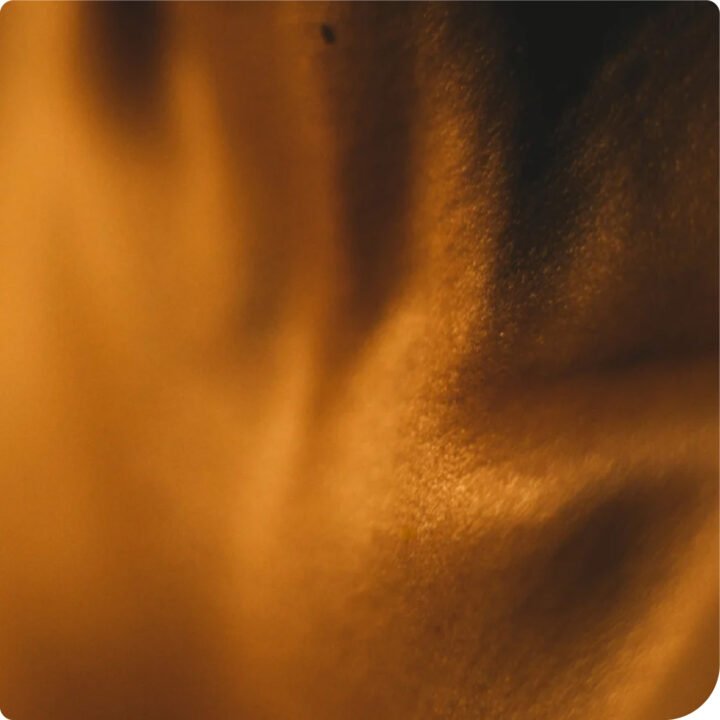 Silk Skin Body Serum Spices & Sandalwood - Image 4