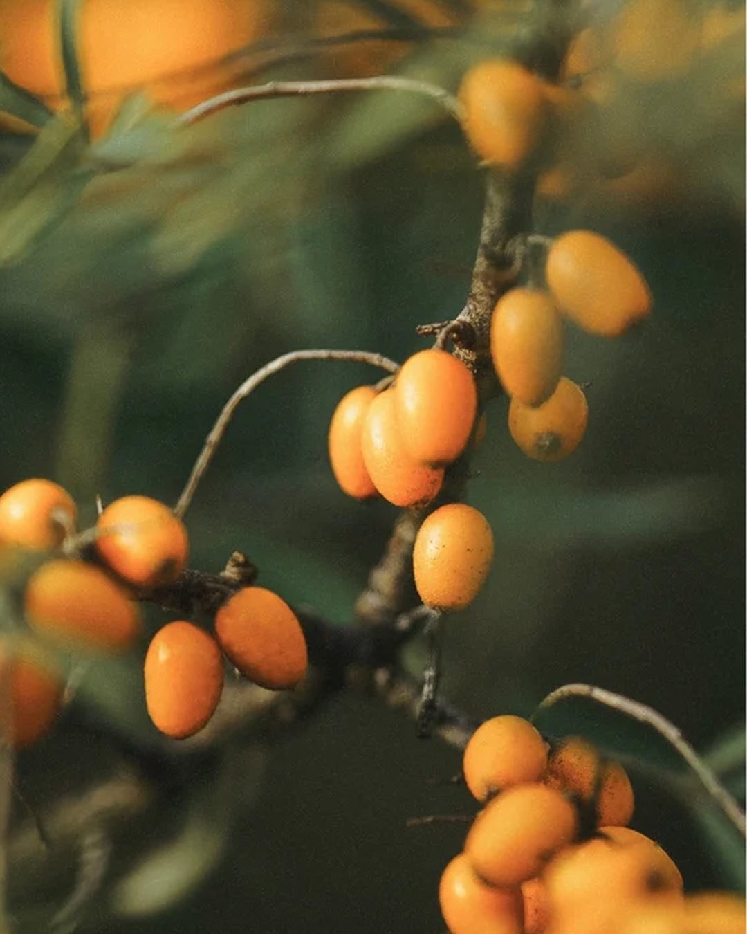 Texture, tone, and all the GOOD vibes you’ve been waiting for! ✨ Stay tuned - the vibes are getting real soon! 🫠